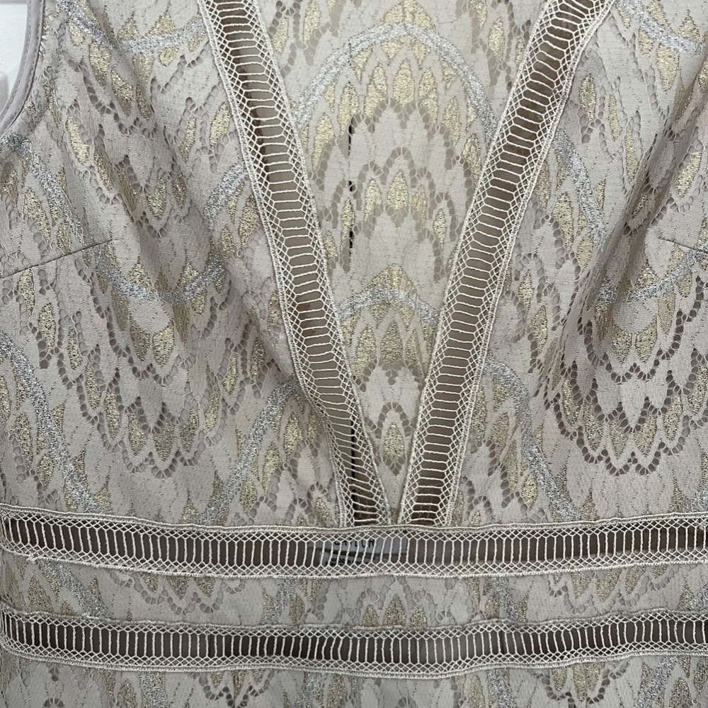 SAYLOR Cream Lace Fit-and-Flare Dress - Picture 4 of 6